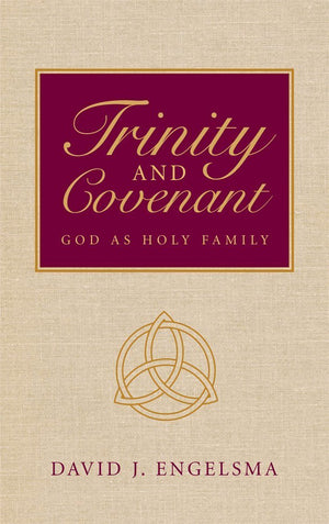 Trinity And Covenant,Used
