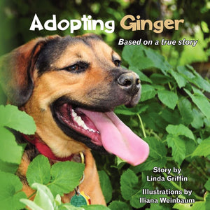 Adopting Ginger,Used