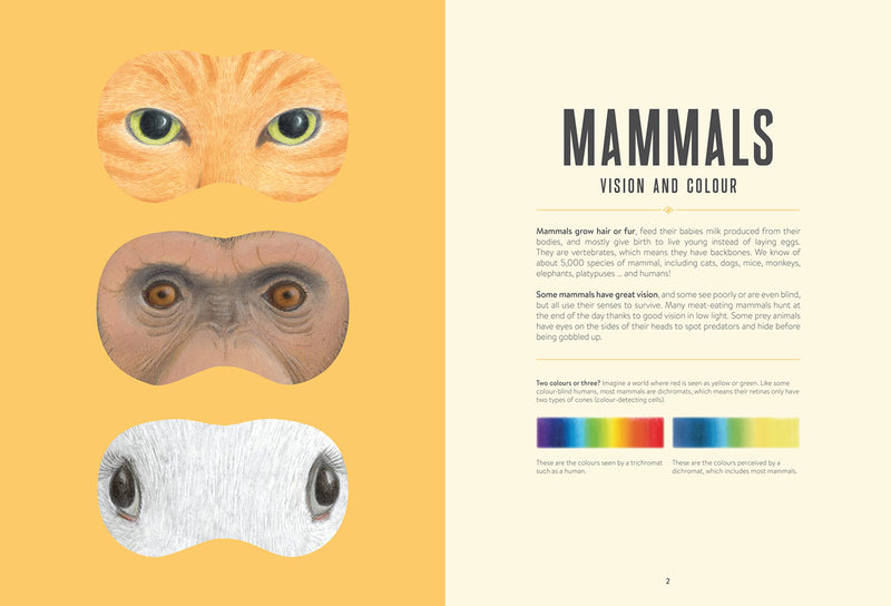 Eye Spy: Wild Ways Animals See the World,Used