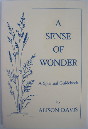 Sense of Wonder: A Spiritual Guidebook,Used