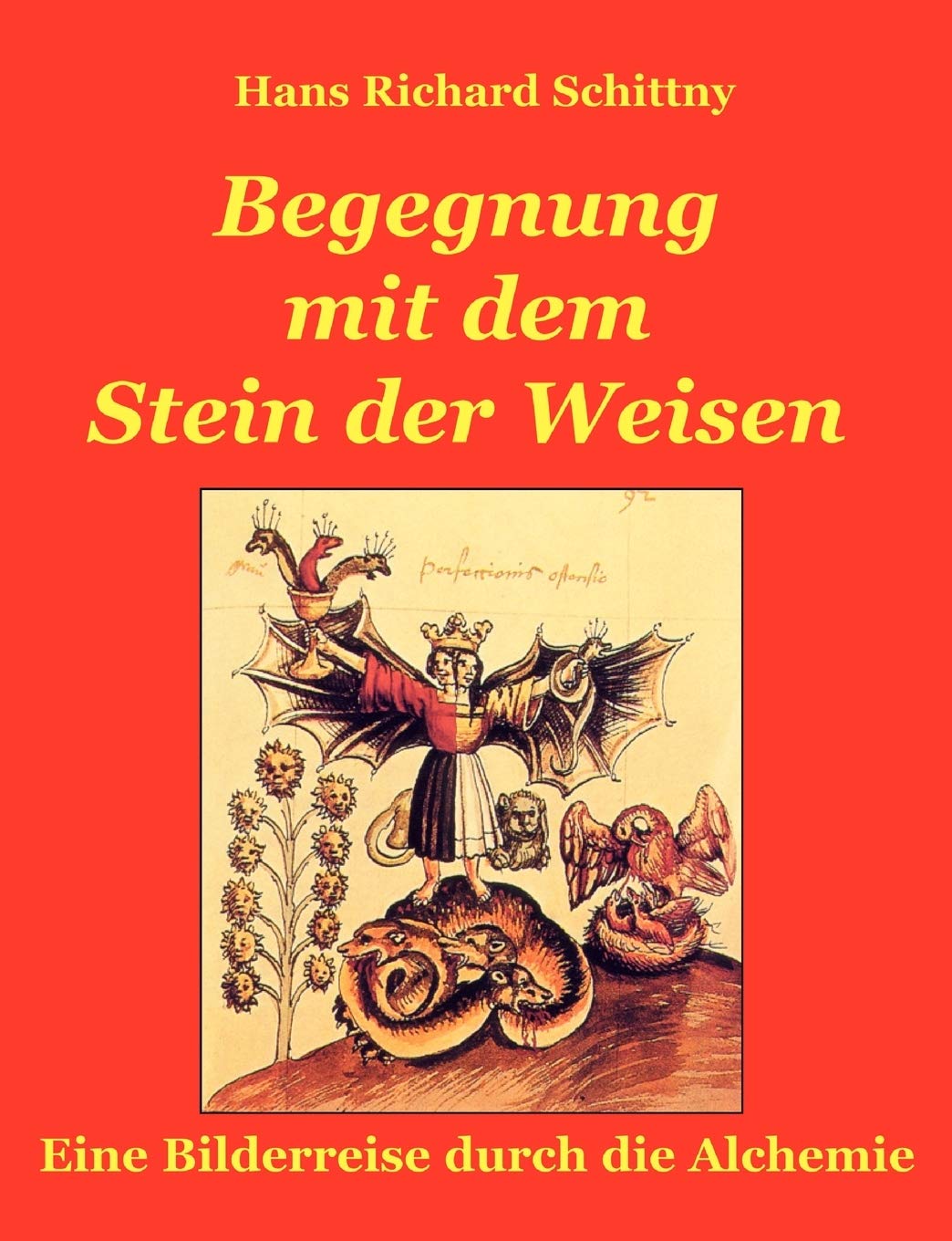 Begegnung Mit Dem Stein Der Weisen (German Edition),Used