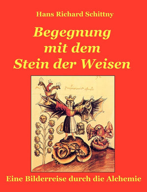 Begegnung Mit Dem Stein Der Weisen (German Edition),Used