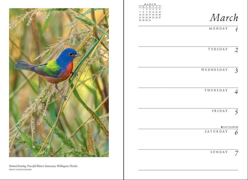 Sierra Club Engagement Calendar 2021,Used