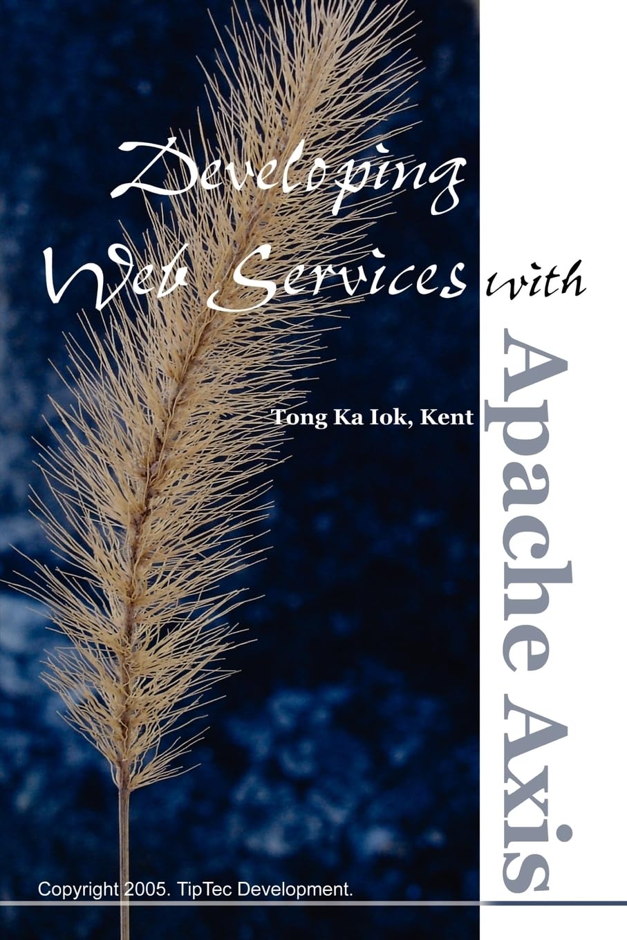 Developing Web Services with Apache Axis,Used