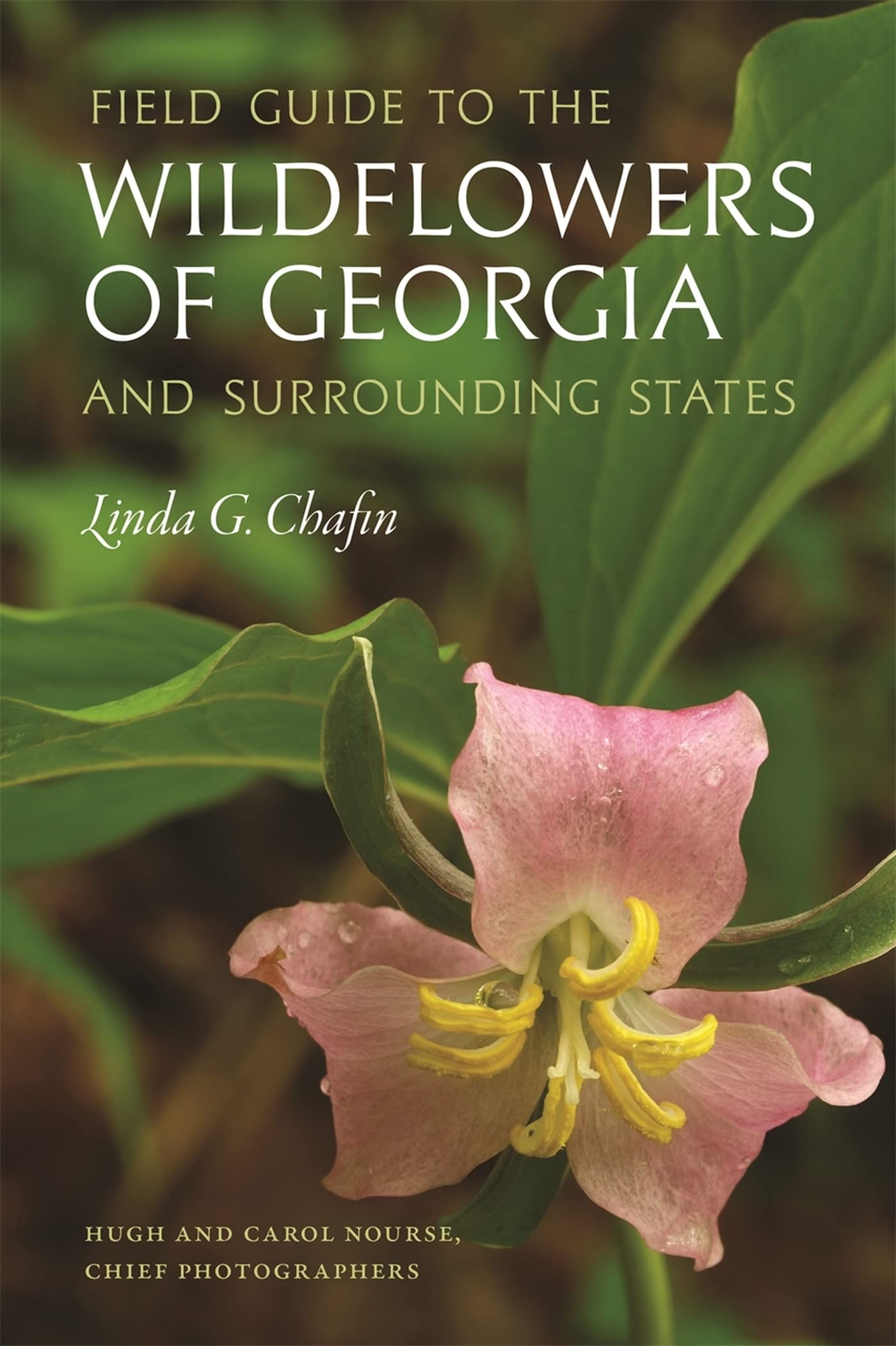 Field Guide To The Wildflowers Of Georgia And Surrounding States (Wormsloe Foundation Nature Books),Used