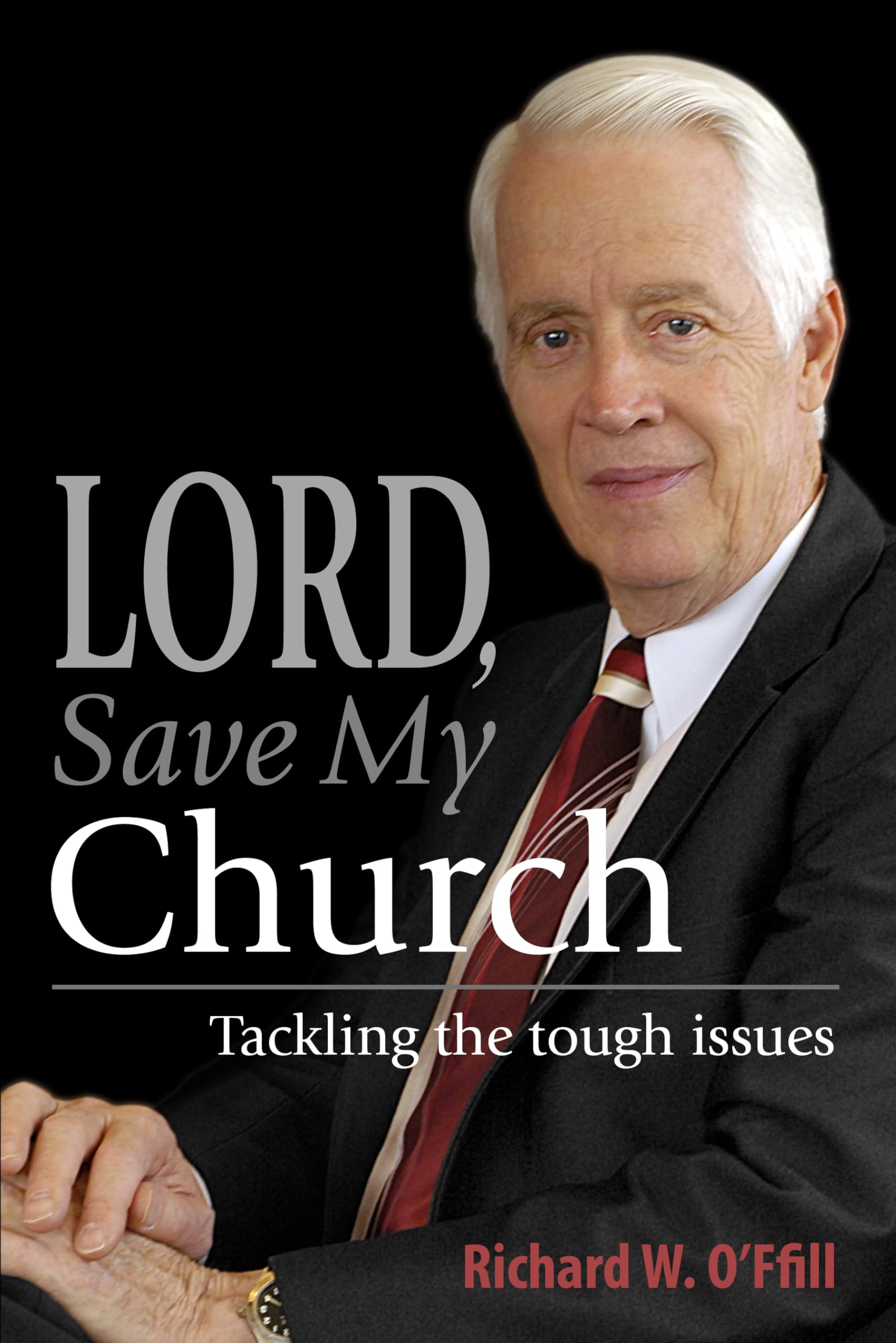 Lord, Save My Church: Tackling The Tough Issues,Used