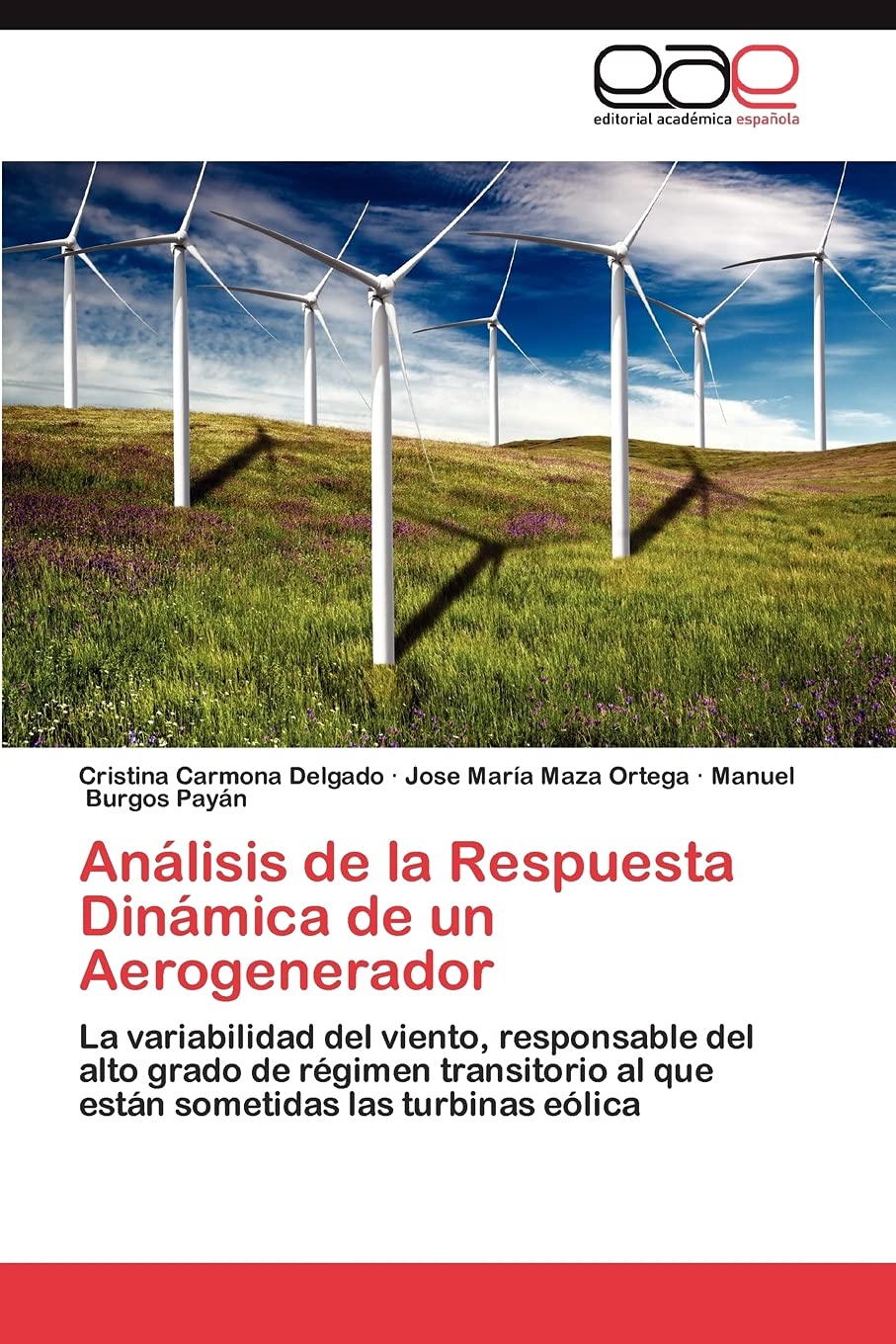 Anlisis de la Respuesta Dinmica de un Aerogenerador: La variabilidad del viento, responsable del alto grado de rgimen tran,Used