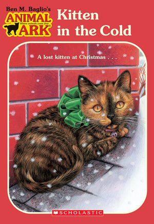 Kitten In The Cold (Animal Ark #13)