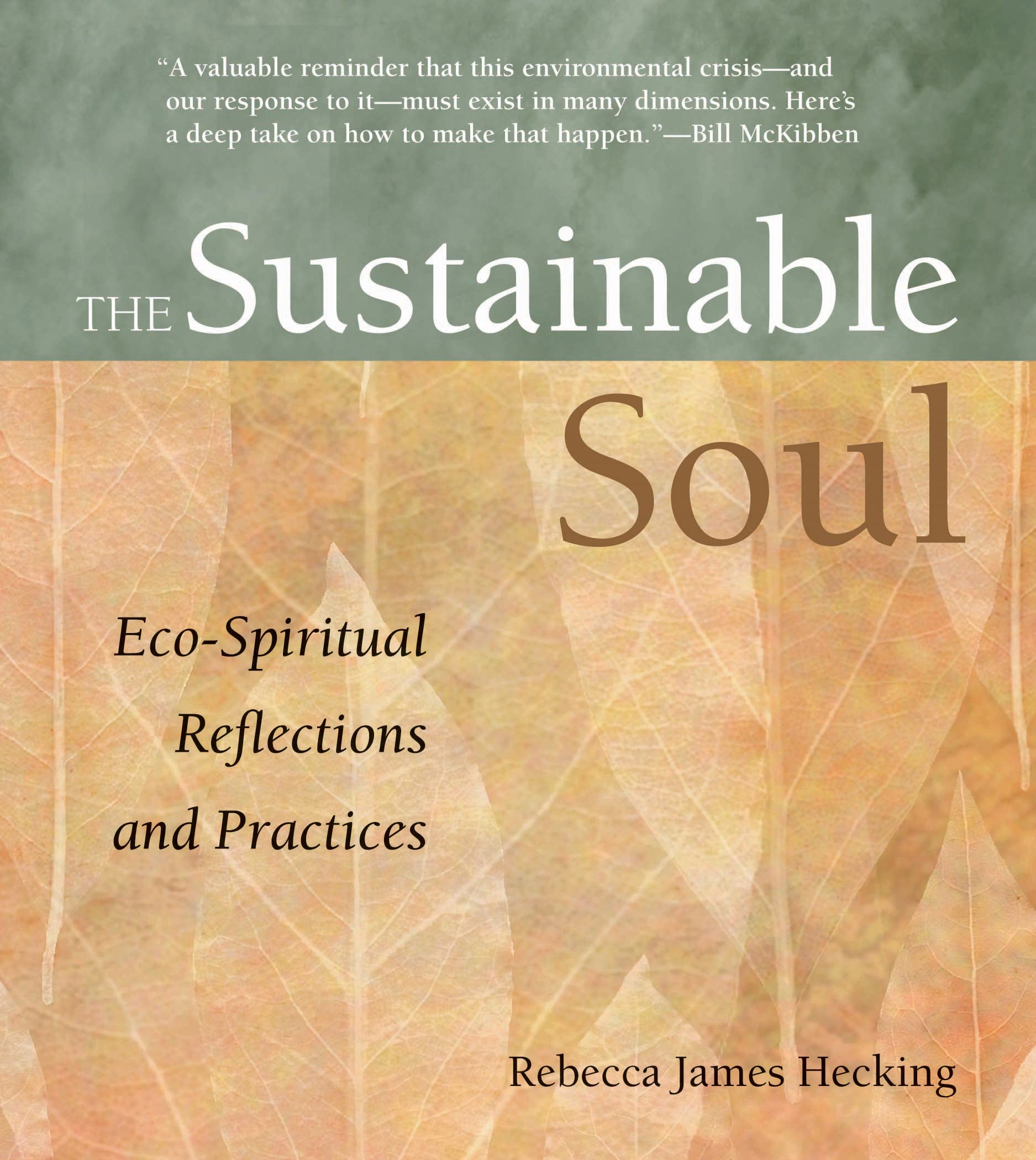 Sustainable Soul: EcoSpiritual Reflections and Practices,Used