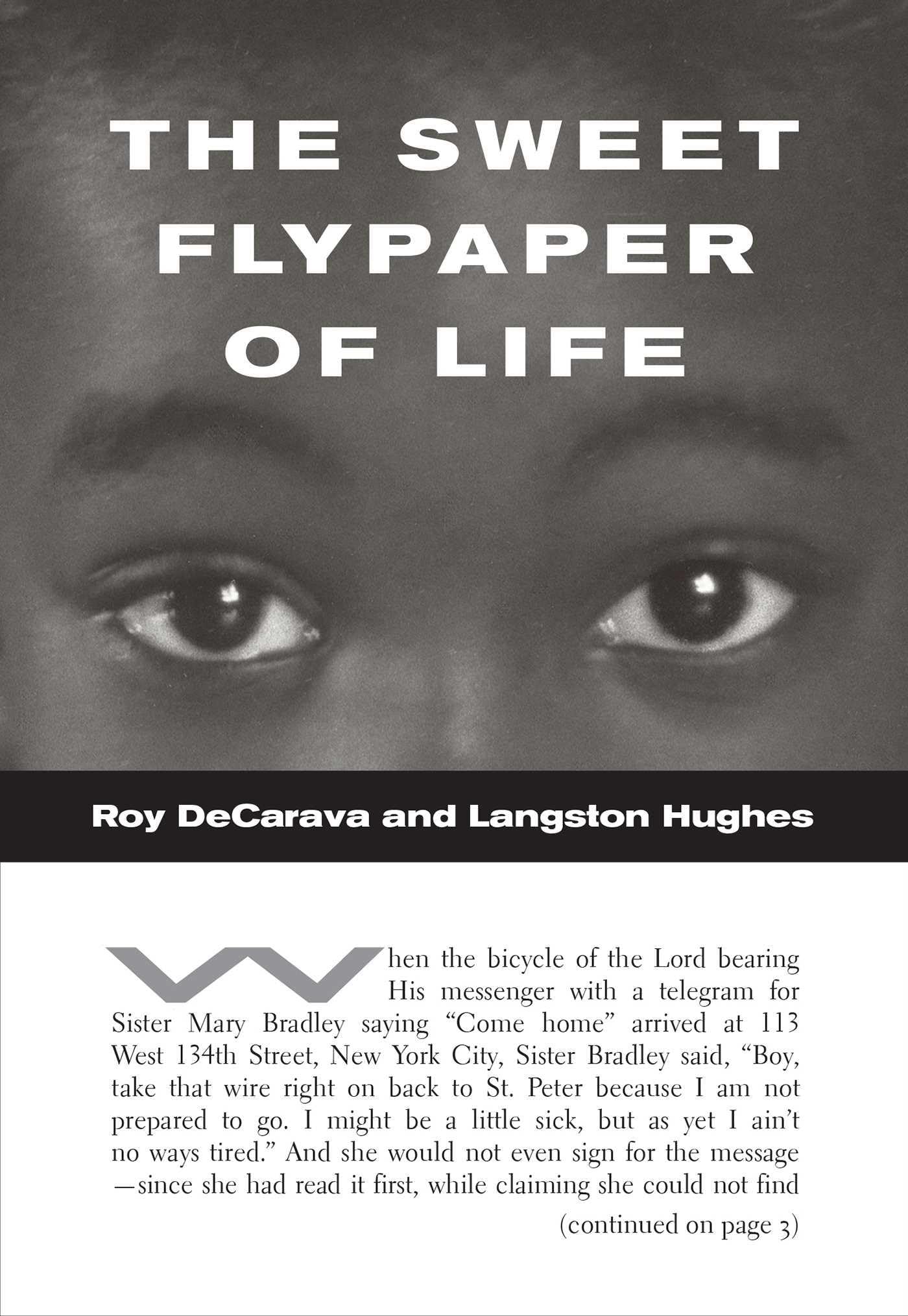 The Sweet Flypaper Of Life (Softcover)-used