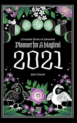 Coloring Book of Shadows: Planner for a Magical 2021,Used