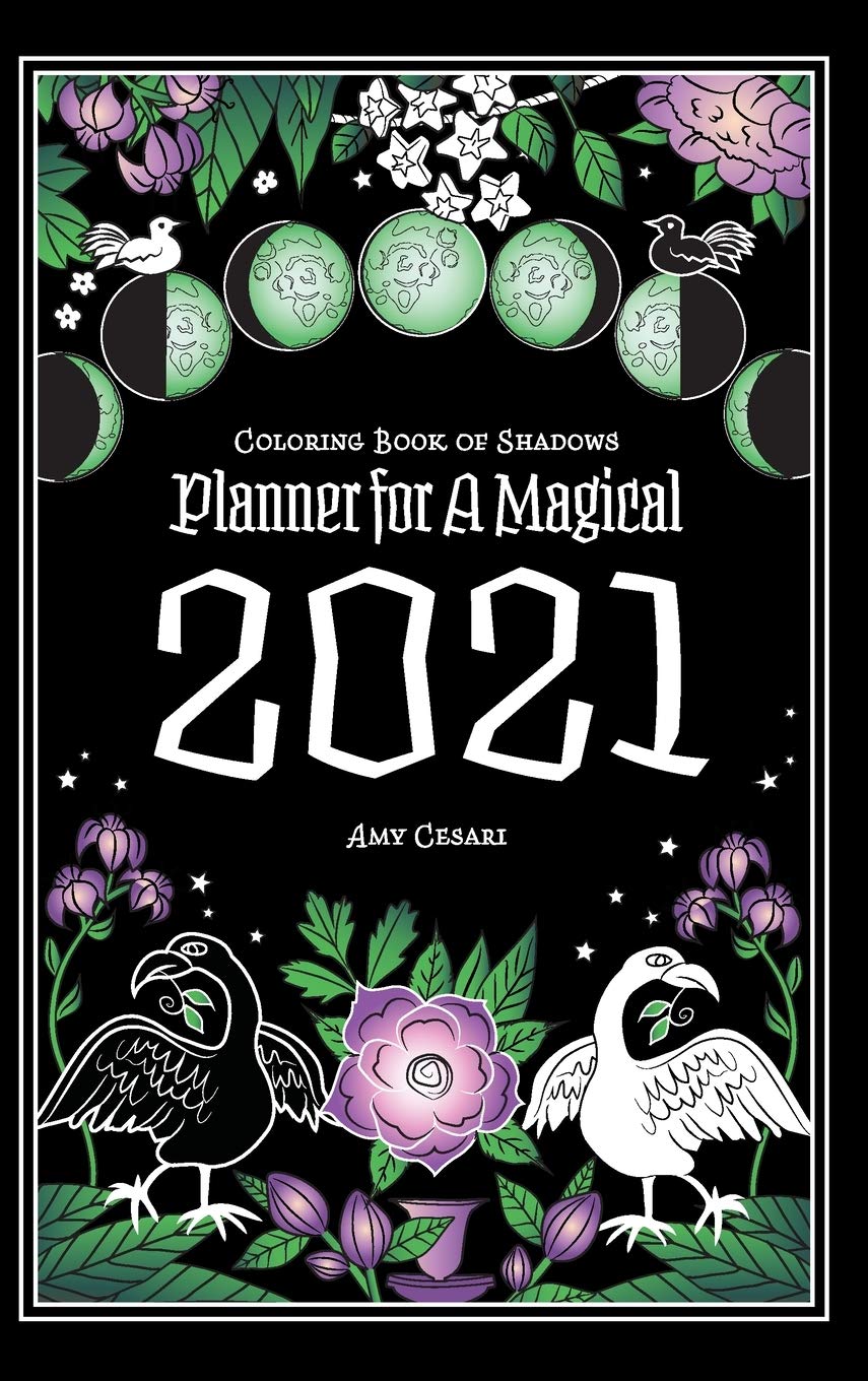 Coloring Book of Shadows: Planner for a Magical 2021,Used