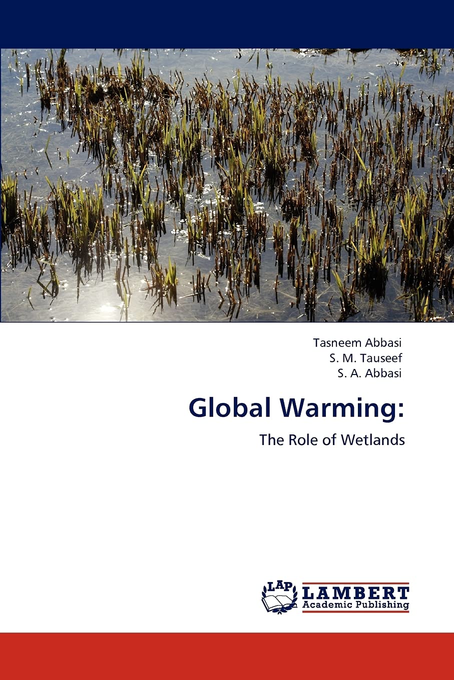 Global Warming:: The Role of Wetlands,Used