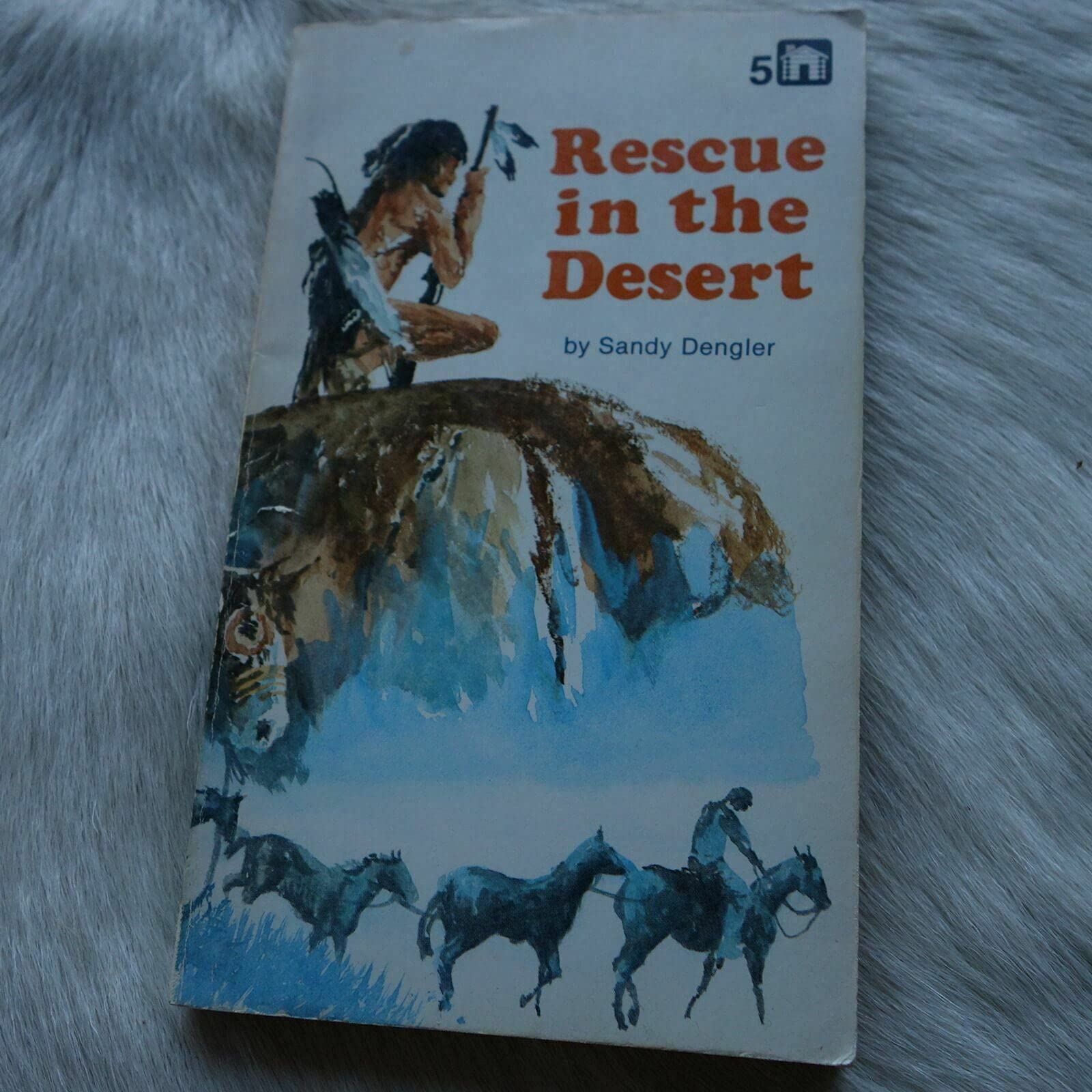 Rescue in the Desert,Used