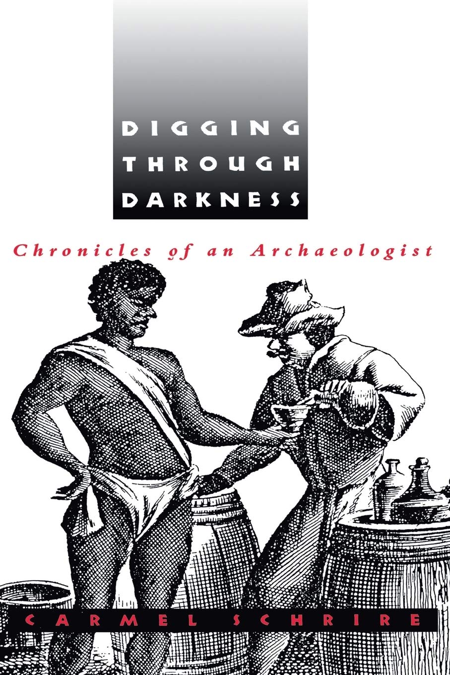 Digging Through Darkness: Chronicles Of An Archaeologist,New