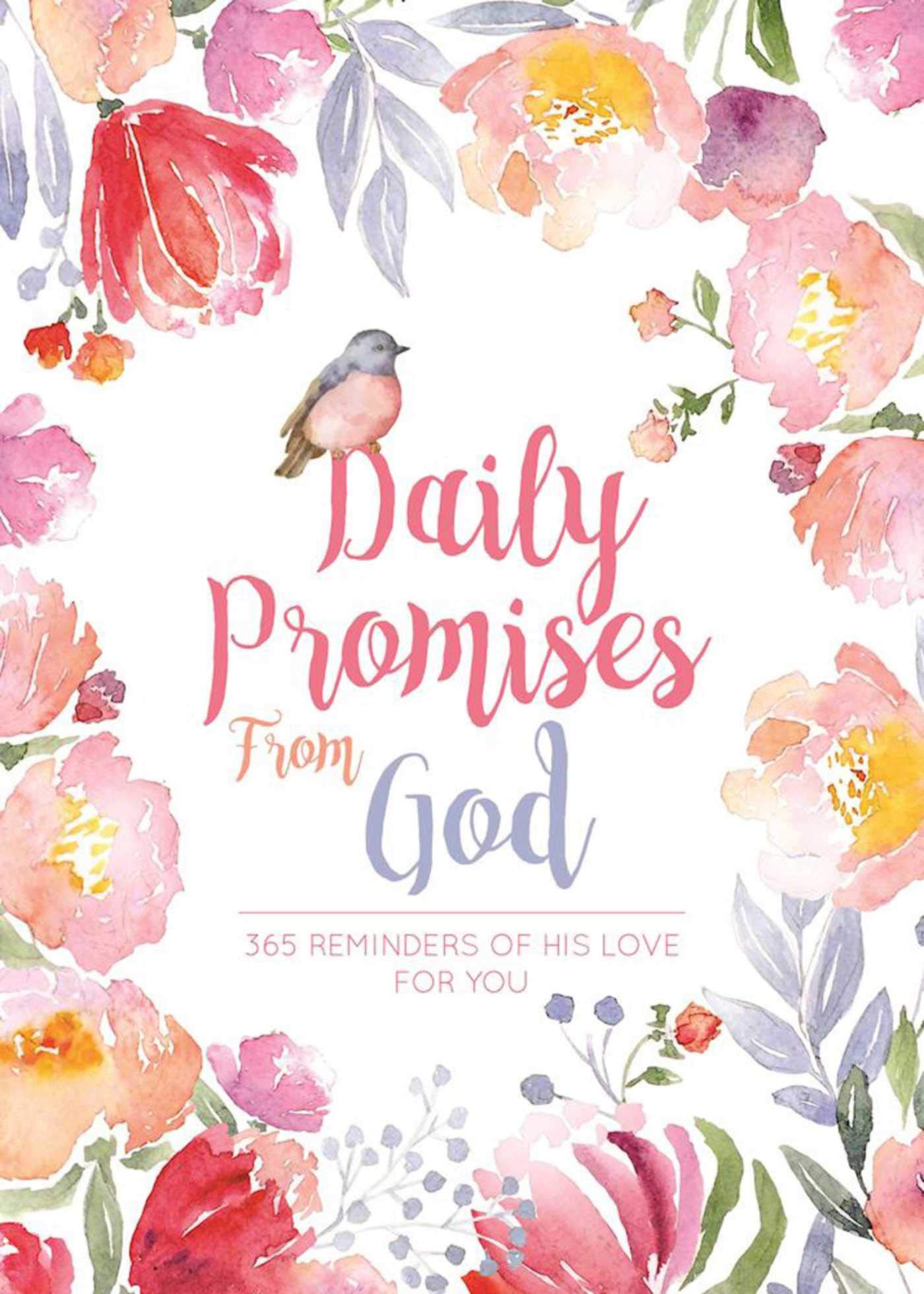 Daily Promises From God,New