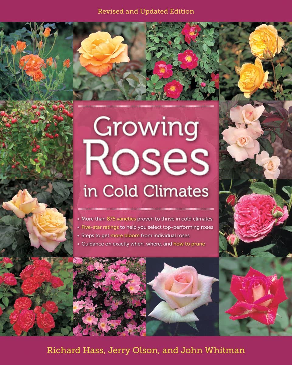 Growing Roses In Cold Climates: Revised And Updated Edition,New