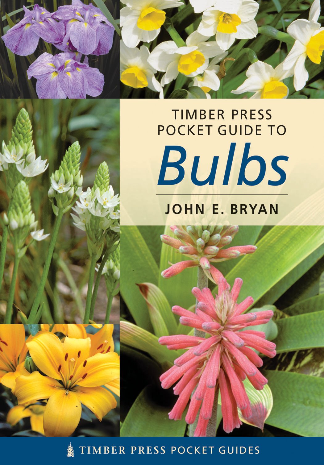 Timber Press Pocket Guide to Bulbs (TIMBER PRESS POCKET GUIDES),Used