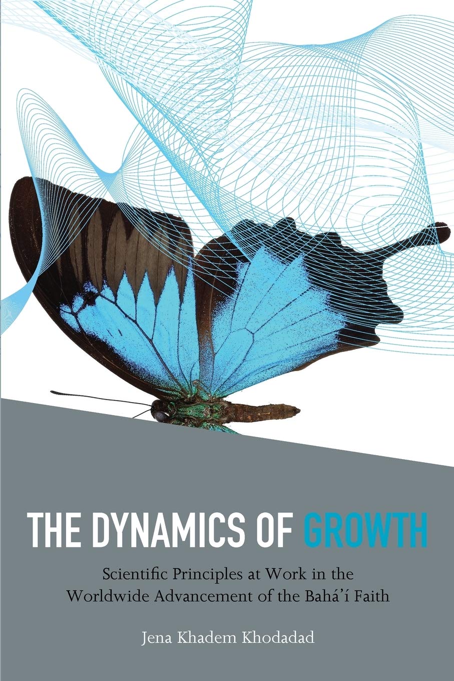 The Dynamics of Growth: Scientific Principles at Work in the Worldwide Advancement of the Baha'i Faith,Used