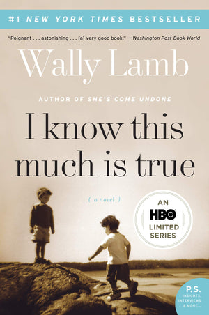 I Know This Much Is True: A Novel (P.S.)-used