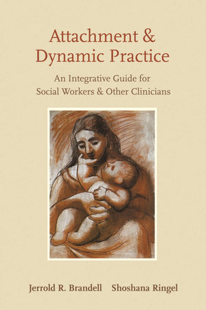 Attachment And Dynamic Practice: An Integrative Guide For Social Workers And Other Clinicians,Used