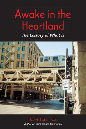 Awake in the Heartland: The Ecstasy of What Is,New