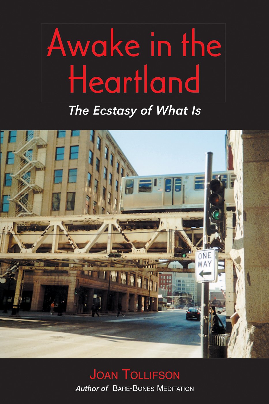 Awake in the Heartland: The Ecstasy of What Is,Used
