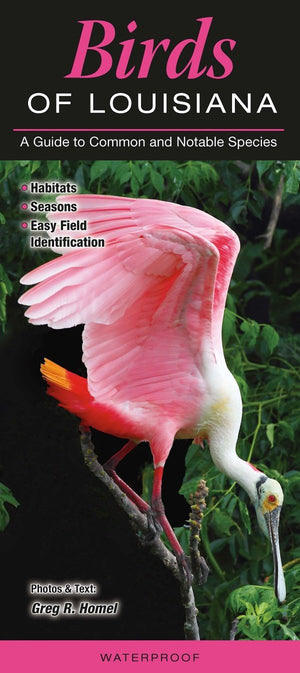 Birds Of Louisiana: A Guide To Common & Notable Species,Used