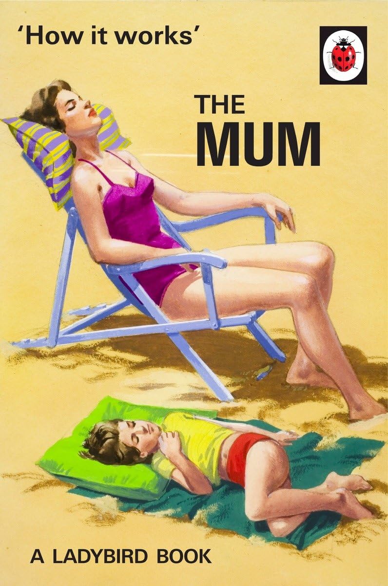 How it Works: The Mum (Ladybirds for GrownUps),Used