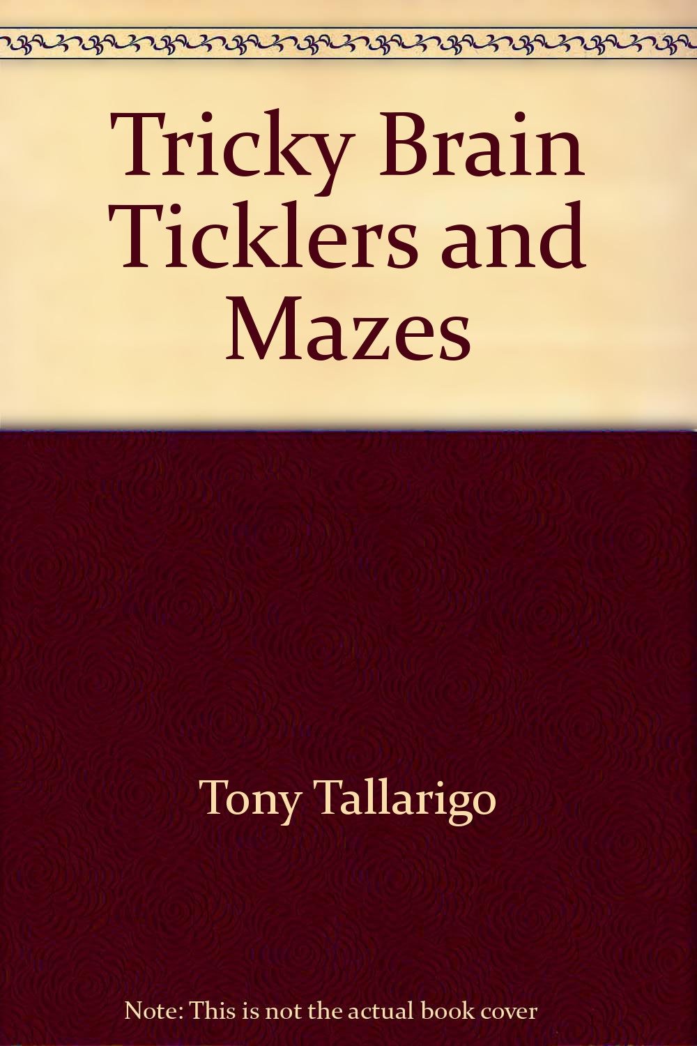 Tricky Brain Ticklers and Mazes (Honey Bear Trademark),Used