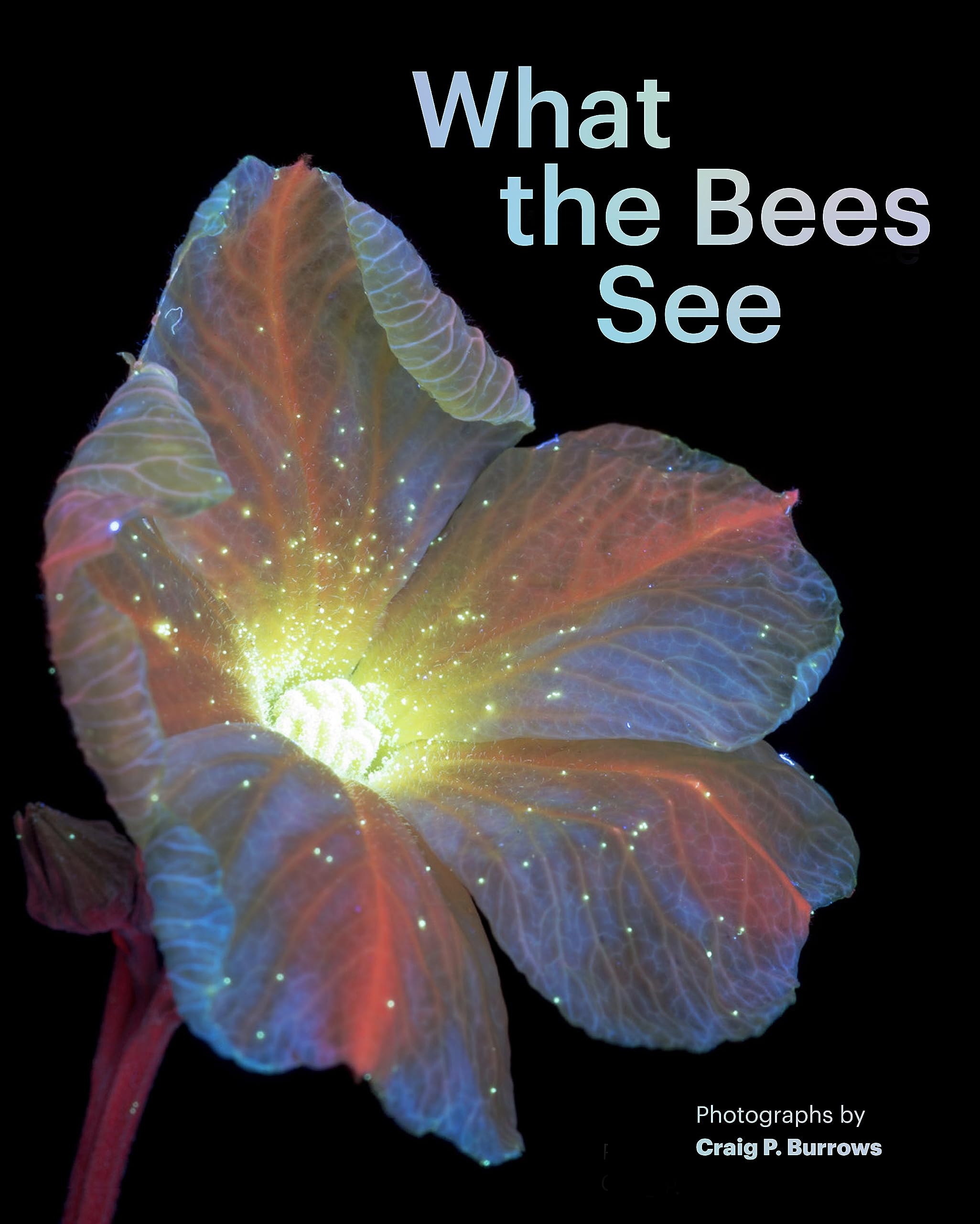 What the Bees See: A Honeybee's Eye View of the World,New