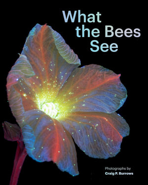 What the Bees See: A Honeybee's Eye View of the World,New
