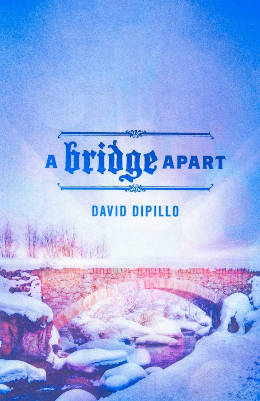 A Bridge Apart,Used