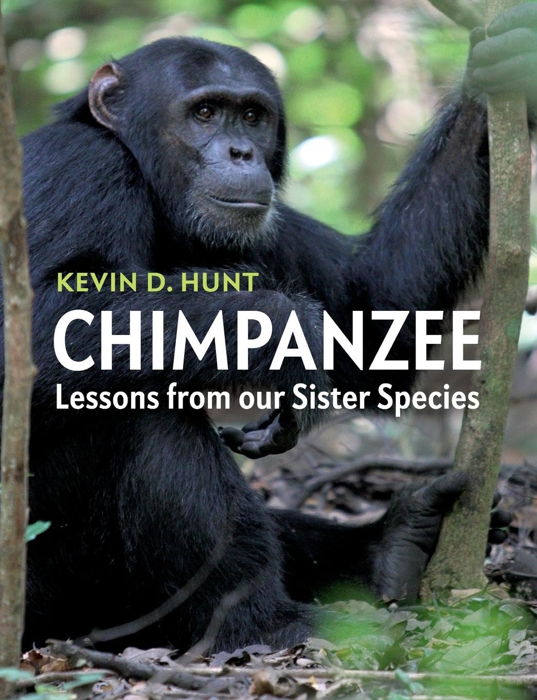 Chimpanzee: Lessons from our Sister Species,Used