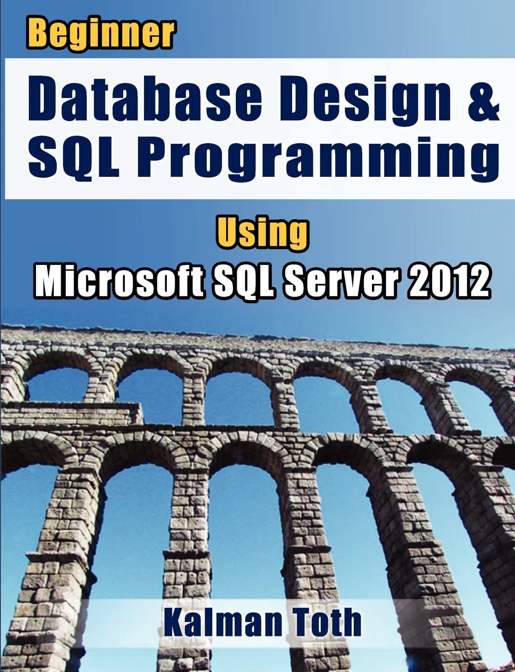 Beginner Database Design & SQL Programming Using Microsoft SQL Server 2012,Used