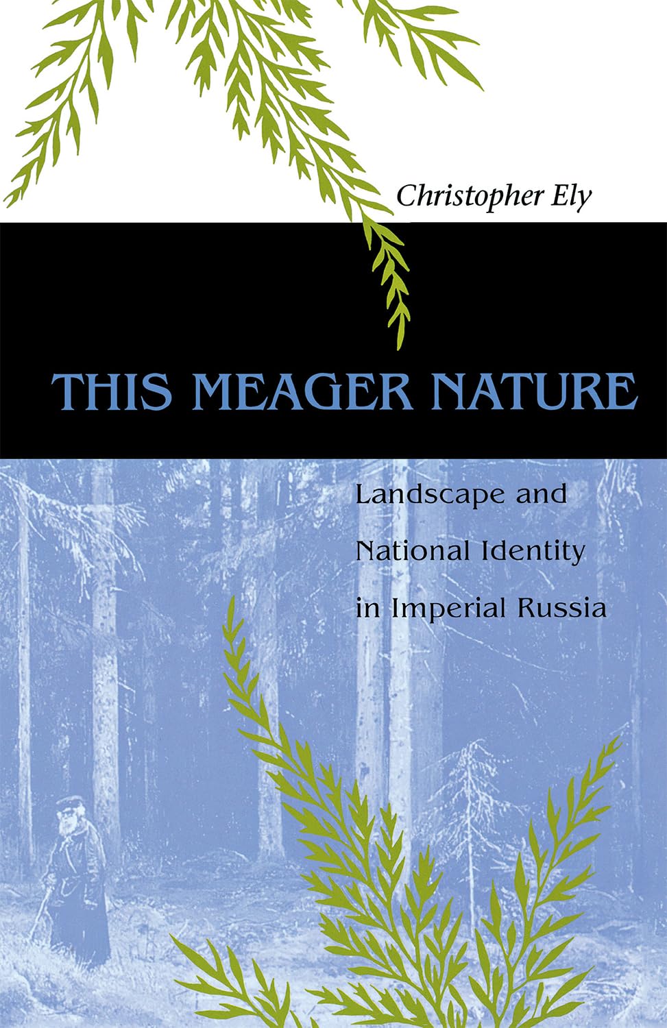 This Meager Nature: Landscape and National Identity in Imperial Russia (NIU Series in Slavic, East European, and Eurasian Studie,Used