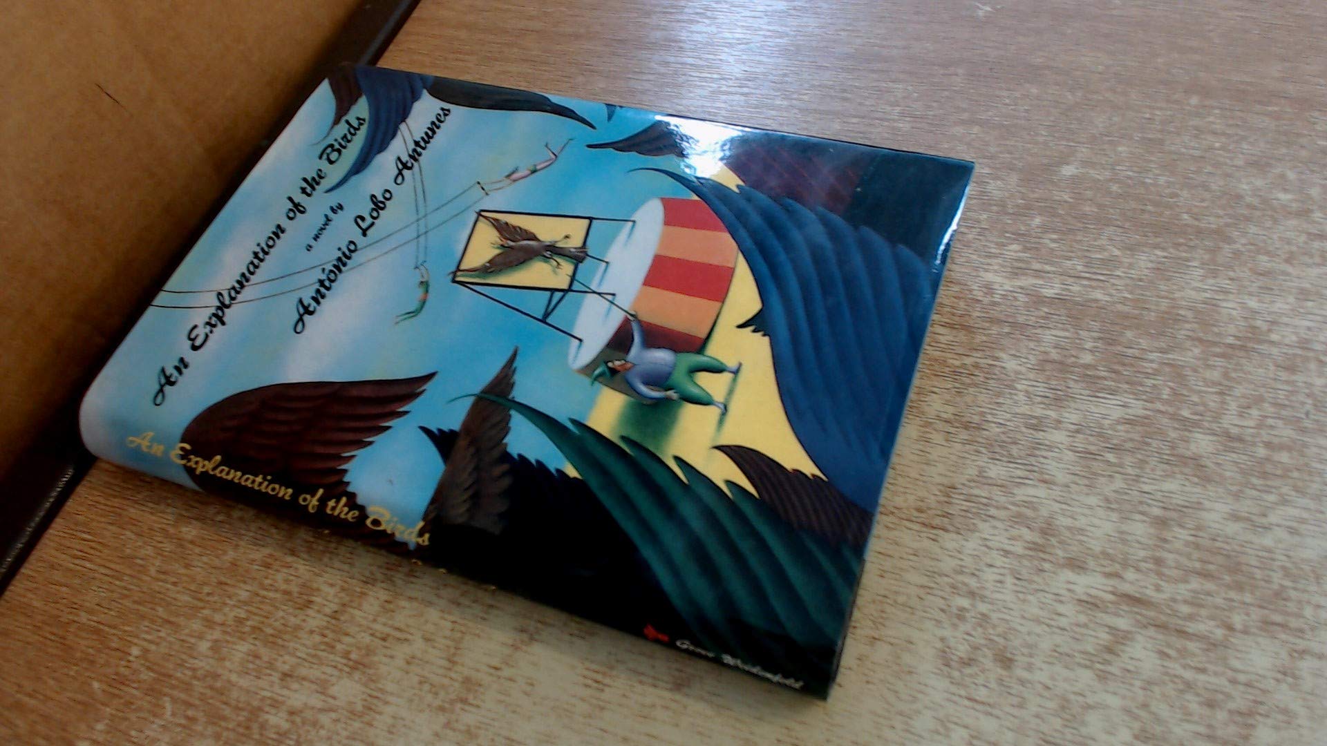 An Explanation of the Birds: A Novel,Used