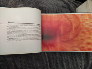 Visions of the Universe,Used
