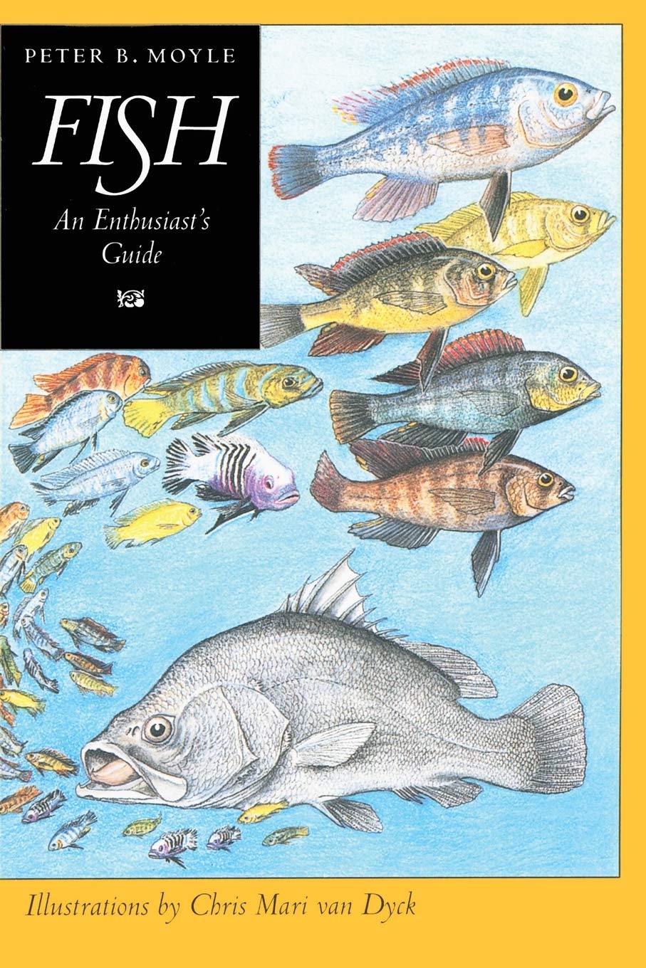 Fish: An Enthusiast'S Guide,New