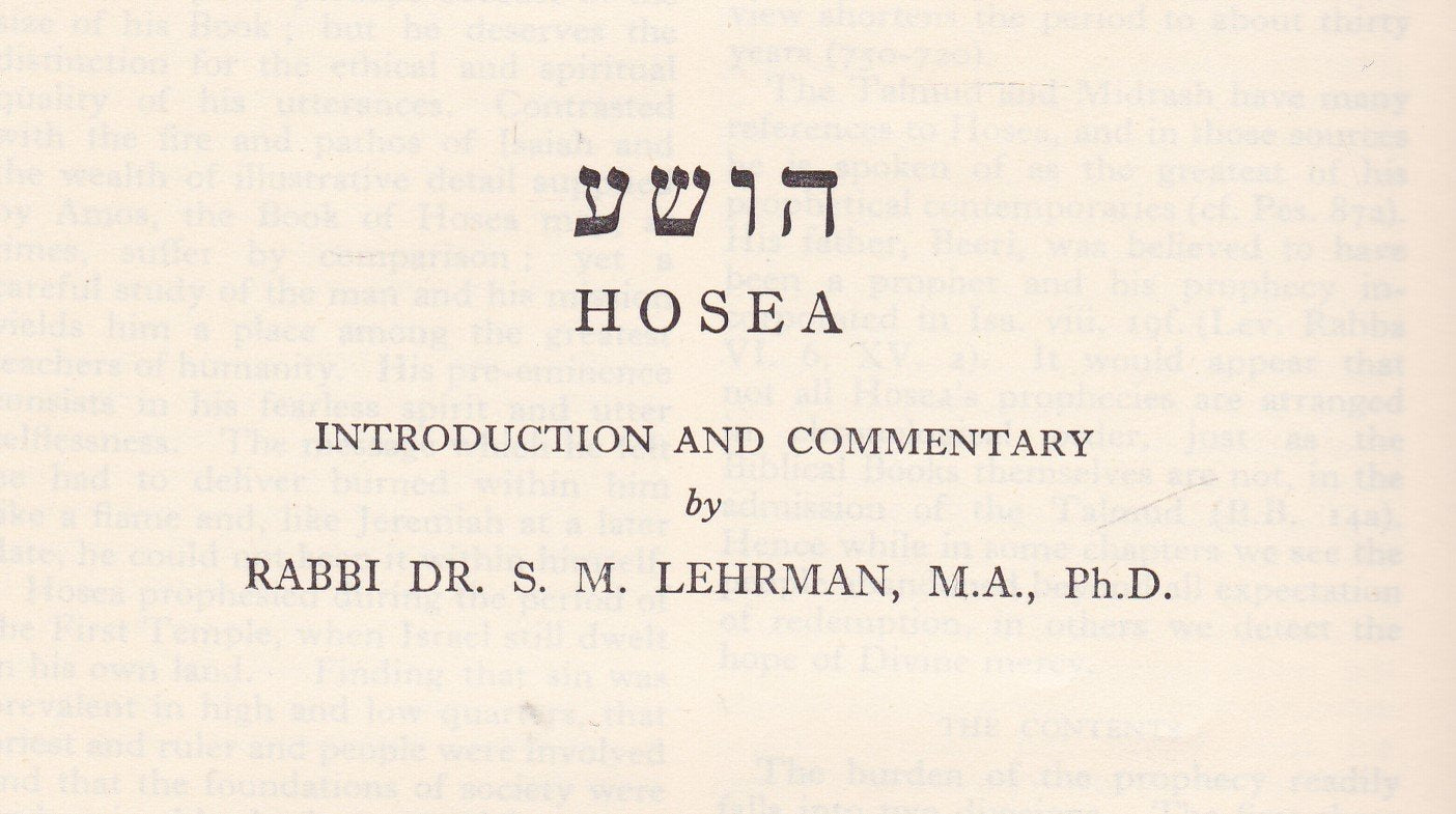 Twelve Prophets (Soncino Books of the Bible) (English and Hebrew Edition),Used