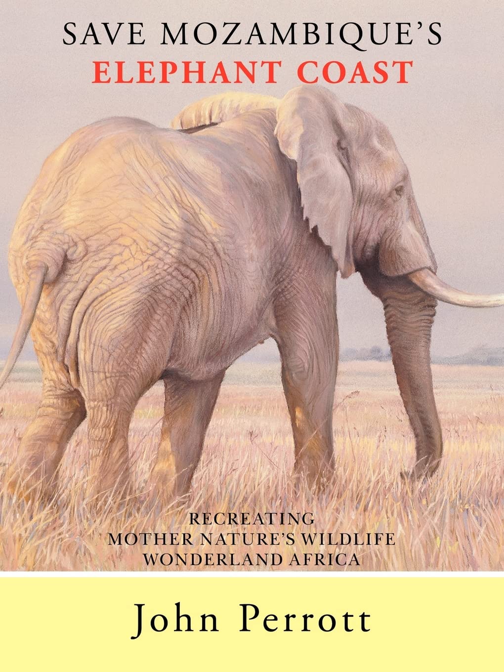 Save Mozambique's Elephant Coast: Recreating Mother Nature's Wildlife Wonderland Africa,Used