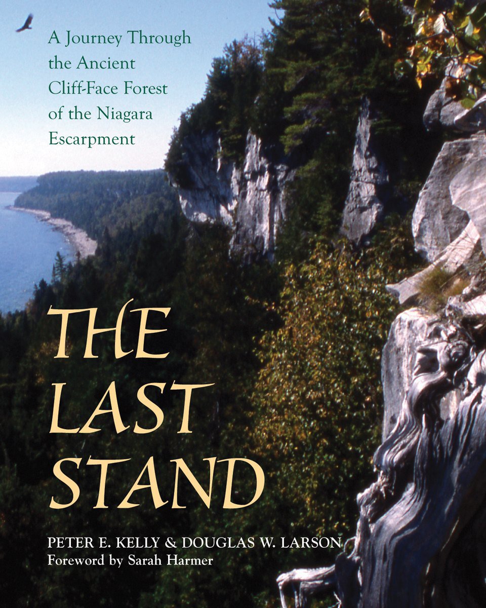 The Last Stand: A Journey Through the Ancient CliffFace Forest of the Niagara Escarpment,Used