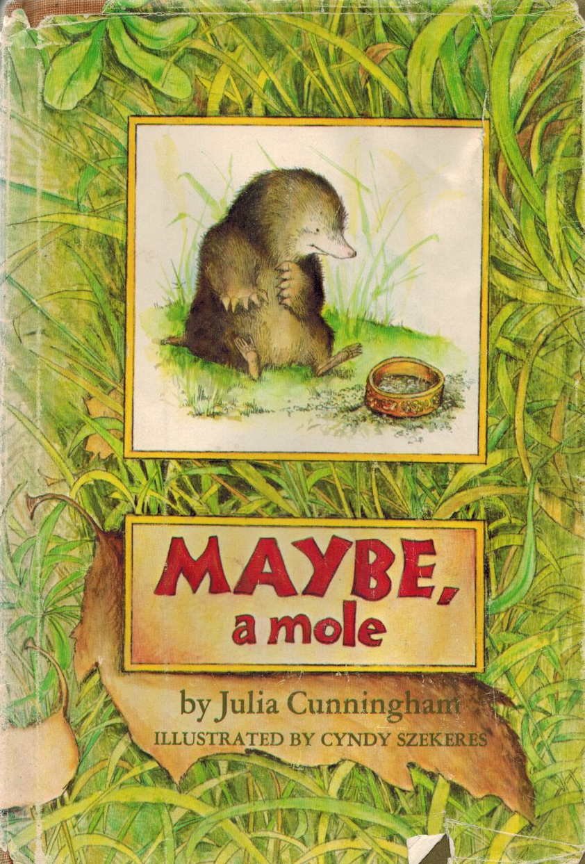 Maybe a Mole,Used
