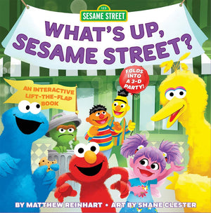 Whats Up, Sesame Street? (A Pop Magic Book): Folds Into A 3D Party!,Used