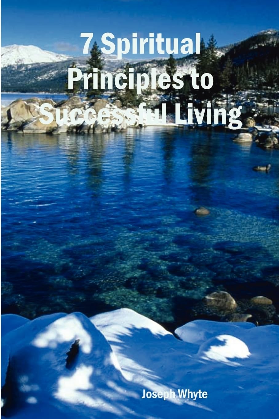 7 Spiritual Principles to Successful Living,Used