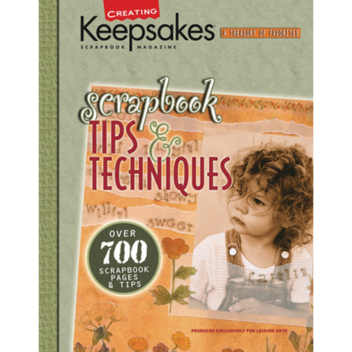 Scrapbook Tips & Techniques: Over 700 Scraptbook Pages & Tips,Used