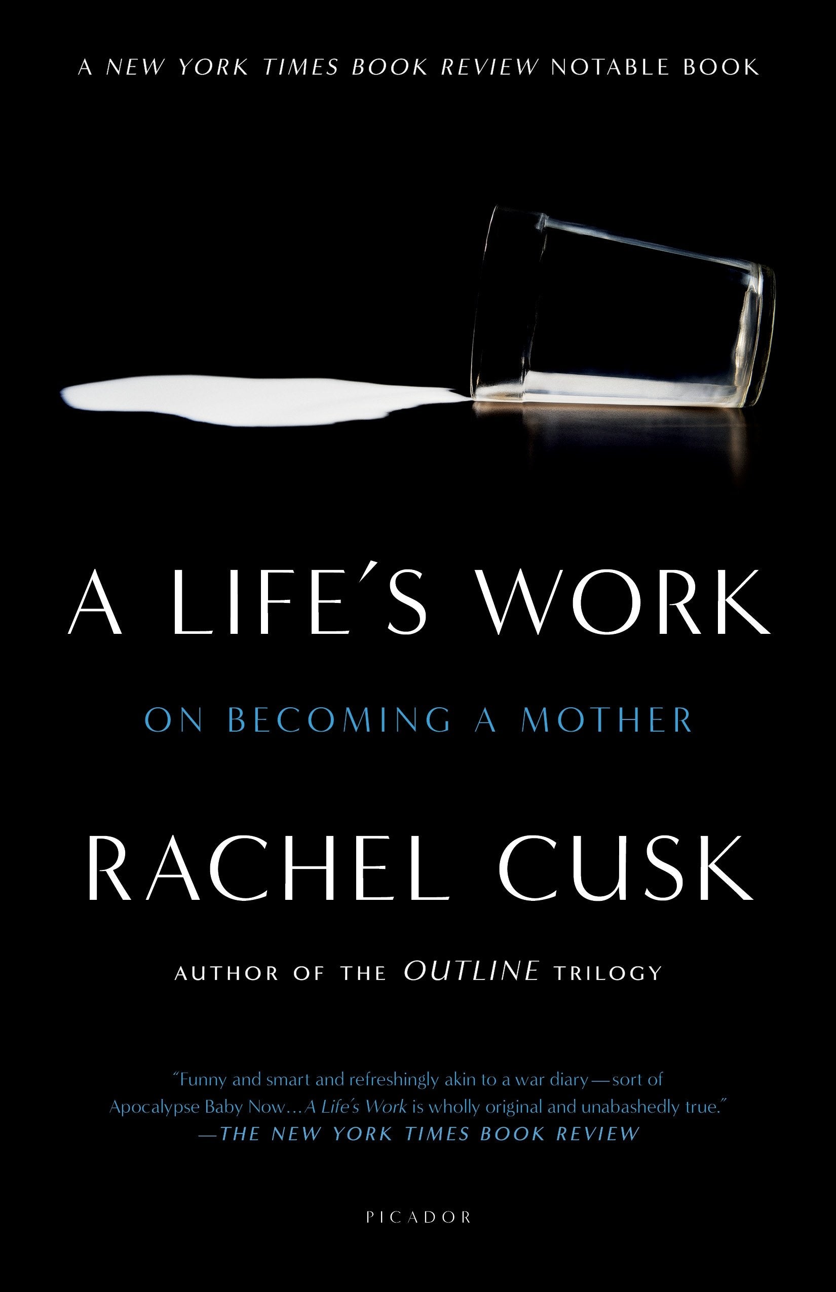 A Life's Work: On Becoming a Mother,Used