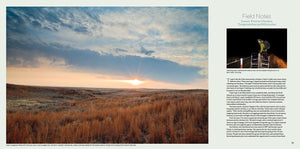 Noppadol Paothong Photography Npp617480 Save The Last Dance-new