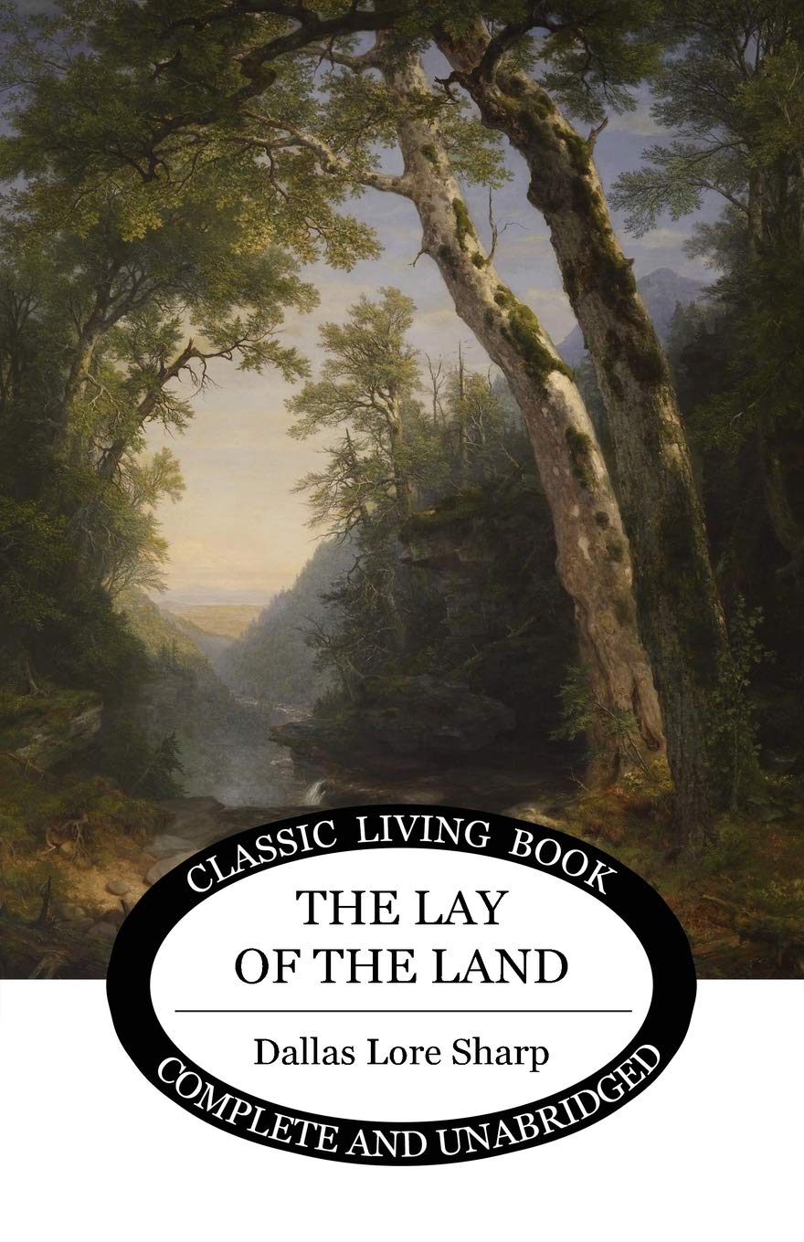 The Lay of the Land,Used
