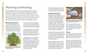 The Bonsai Beginner'S Bible-used